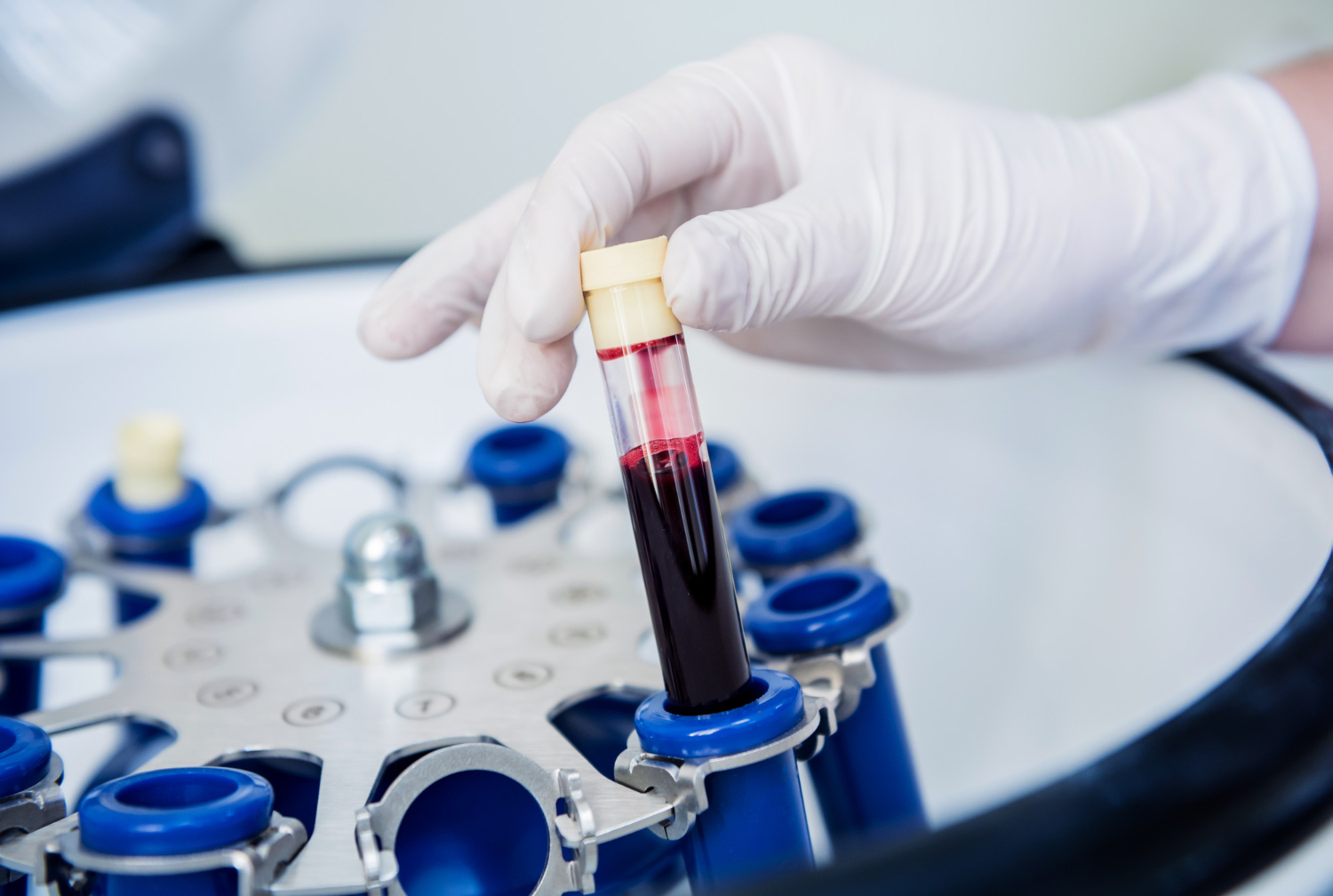 Synthetic blood plasma