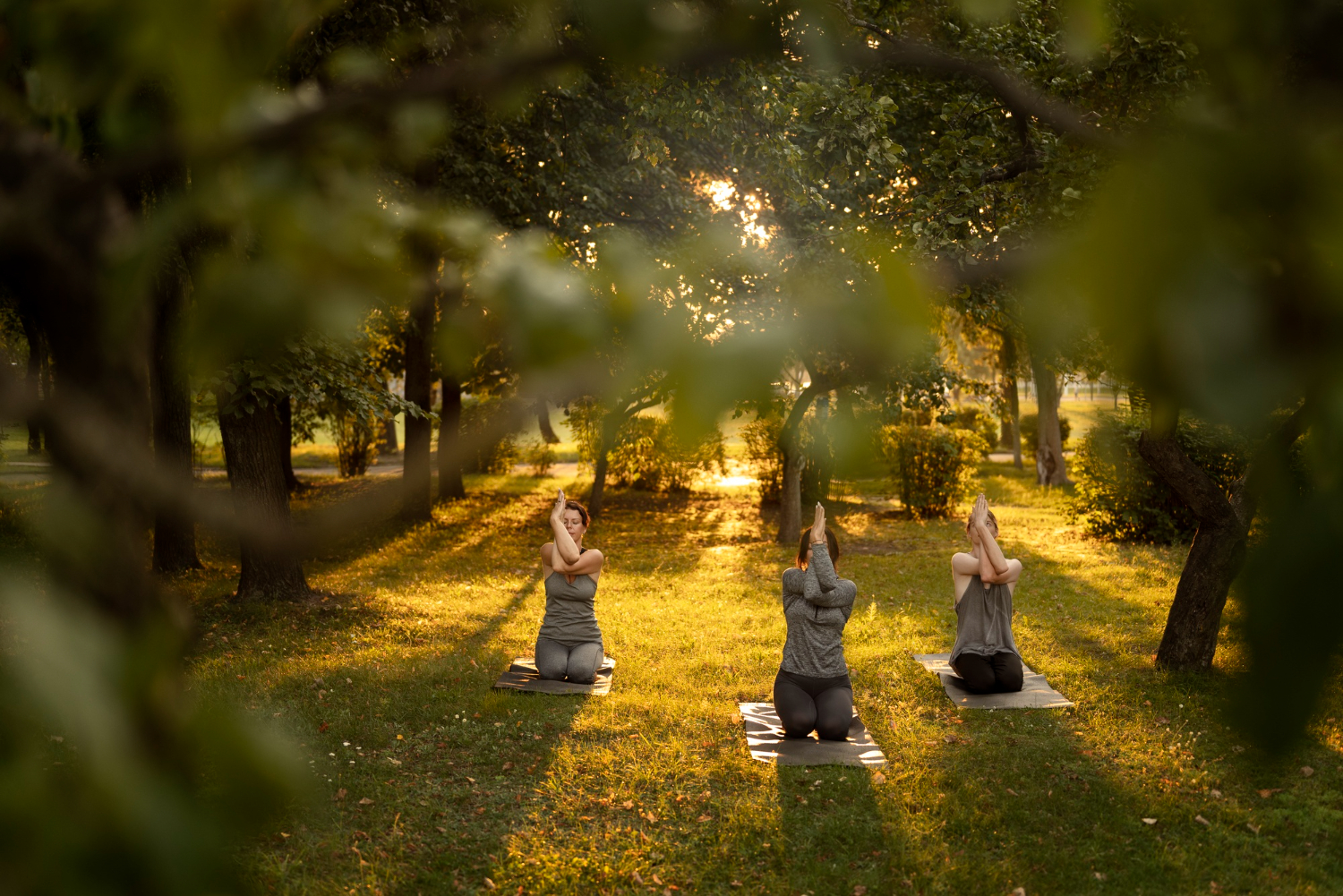 Wellness Retreat