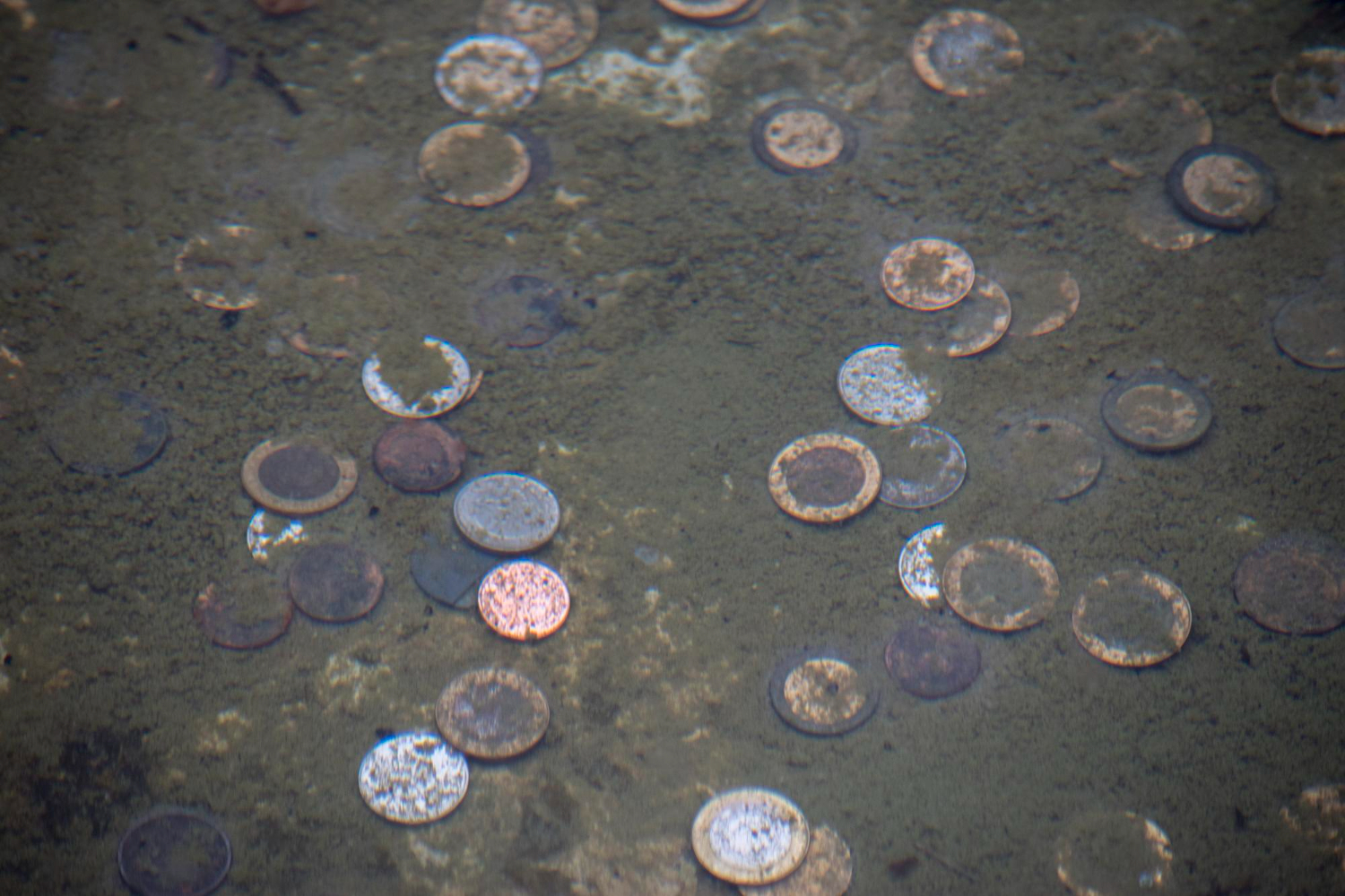 Coins Flipping in American shopping mall fountains