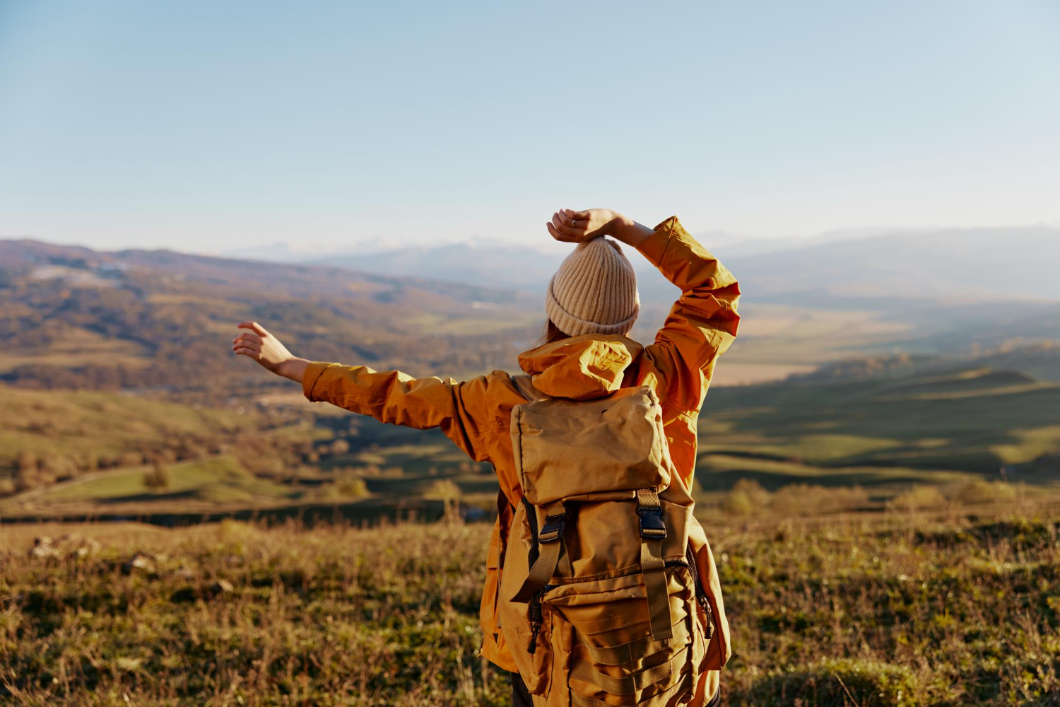 Traveler