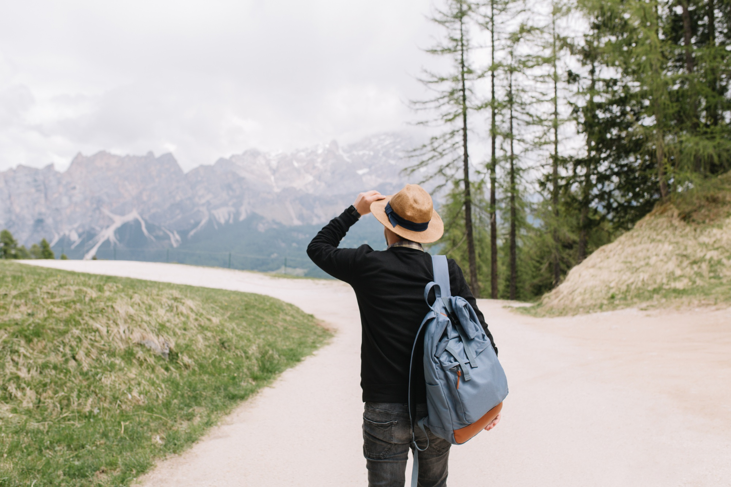 traveler