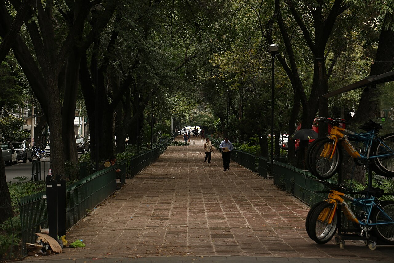 Roma Norte