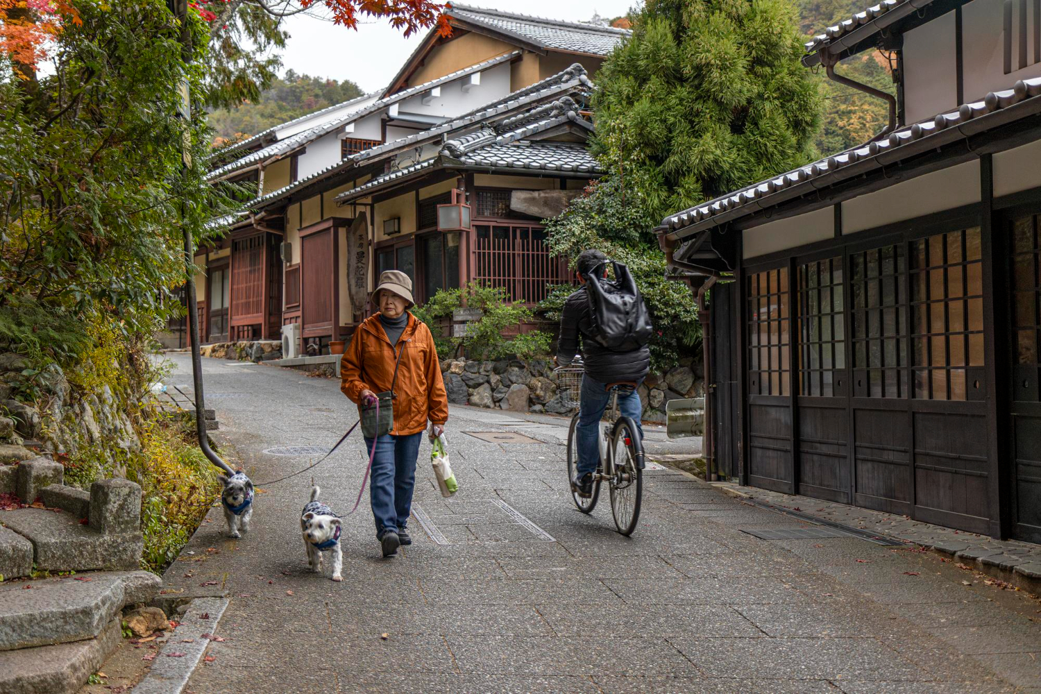 Japanese Village