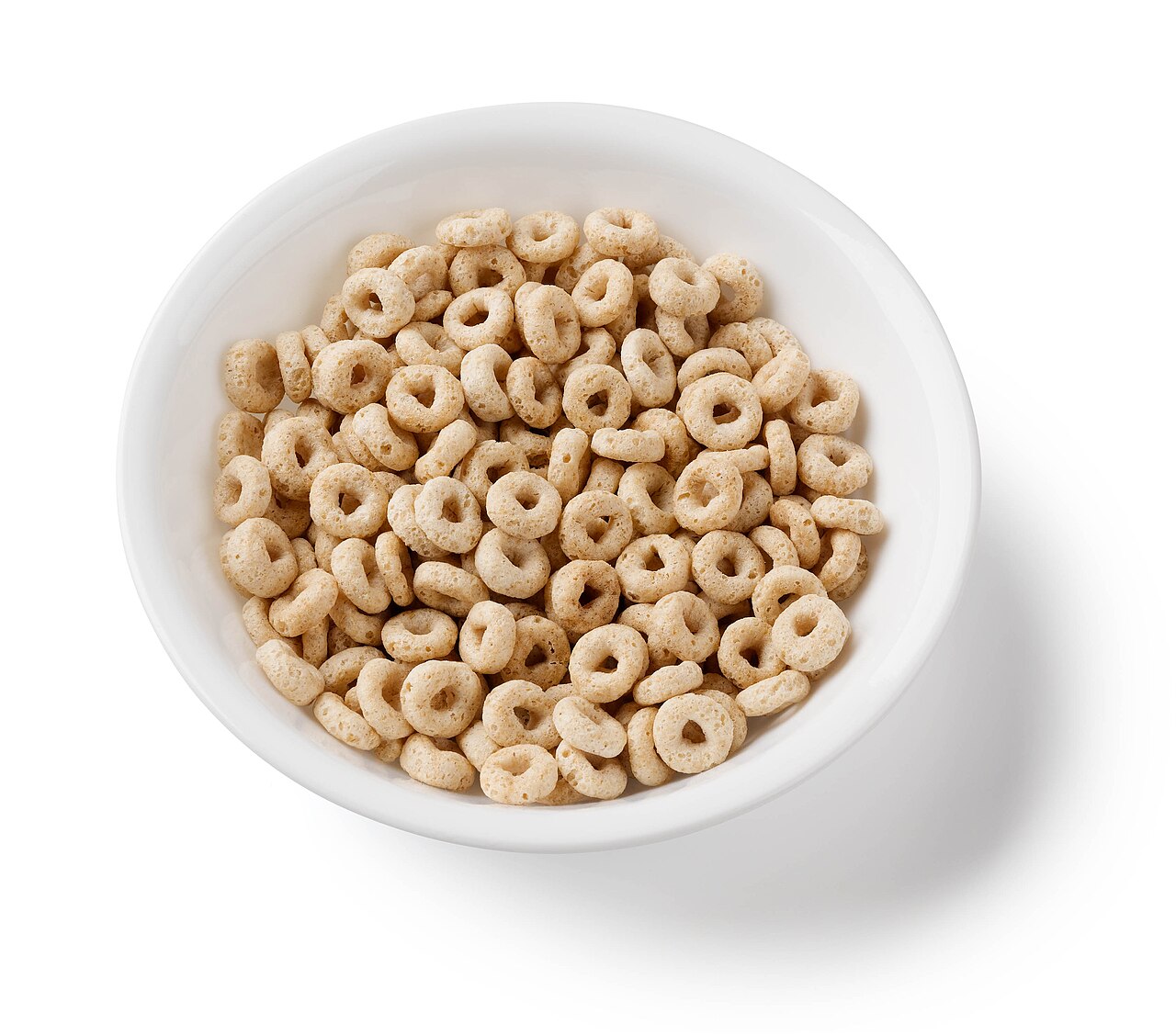 Portion Sizes