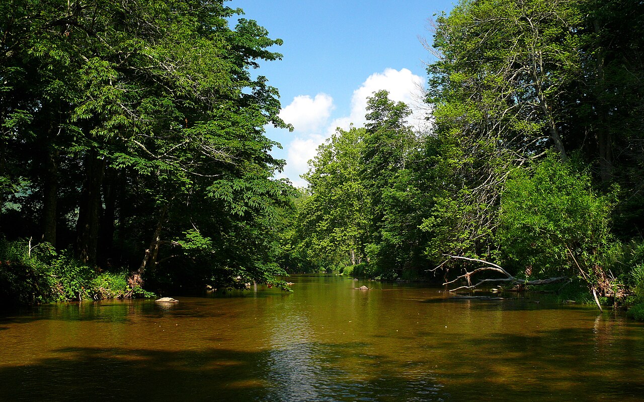 Watauga River