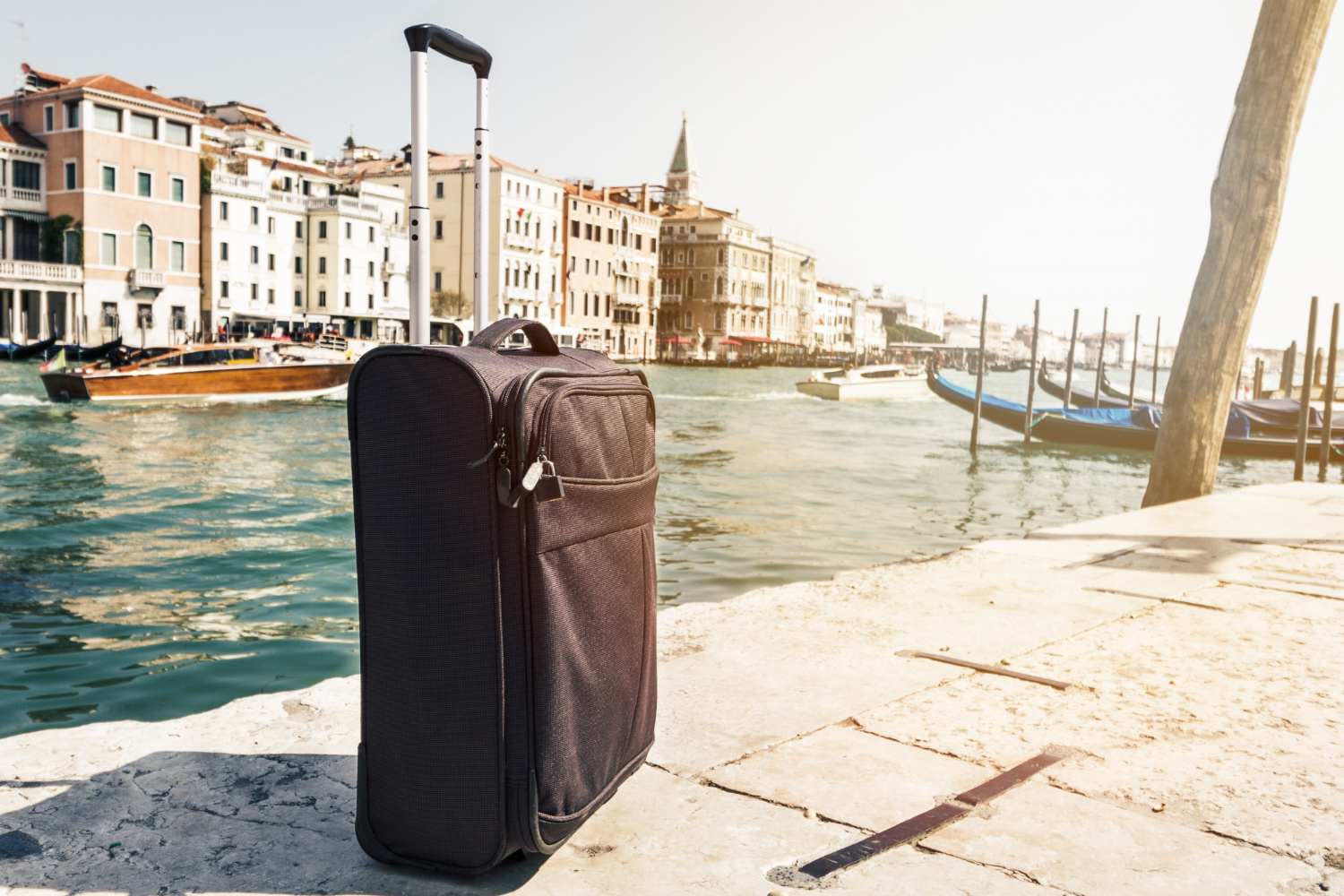 Traveler Bag