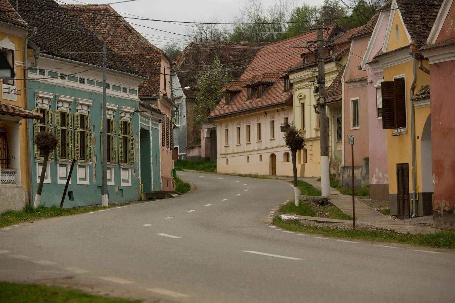 Neighborhood