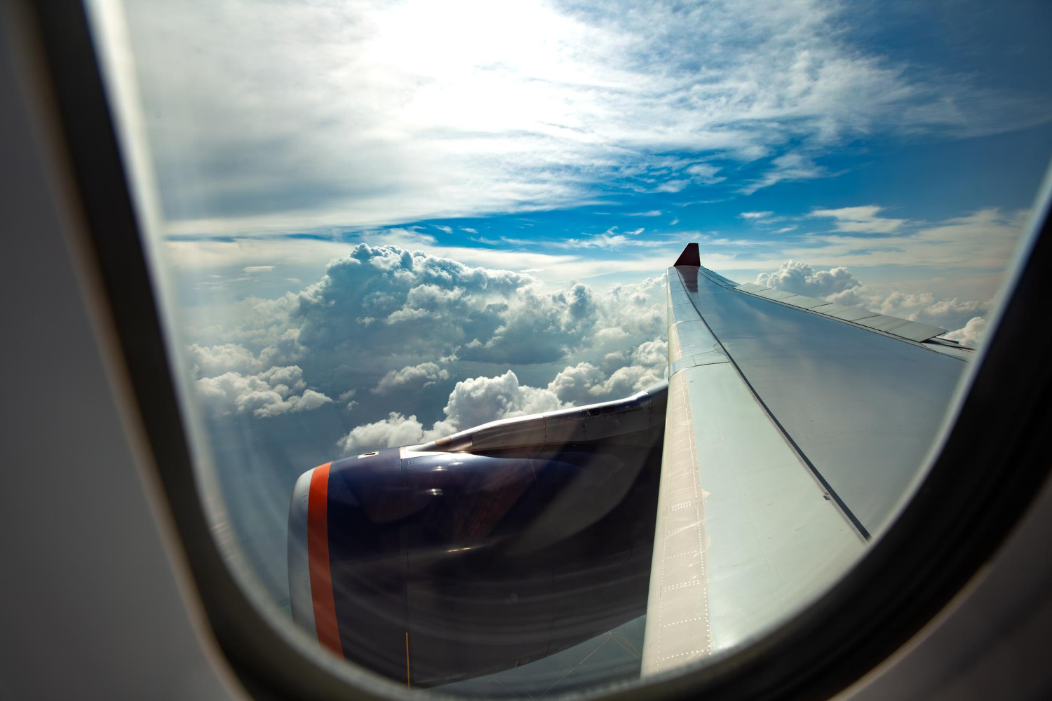flight