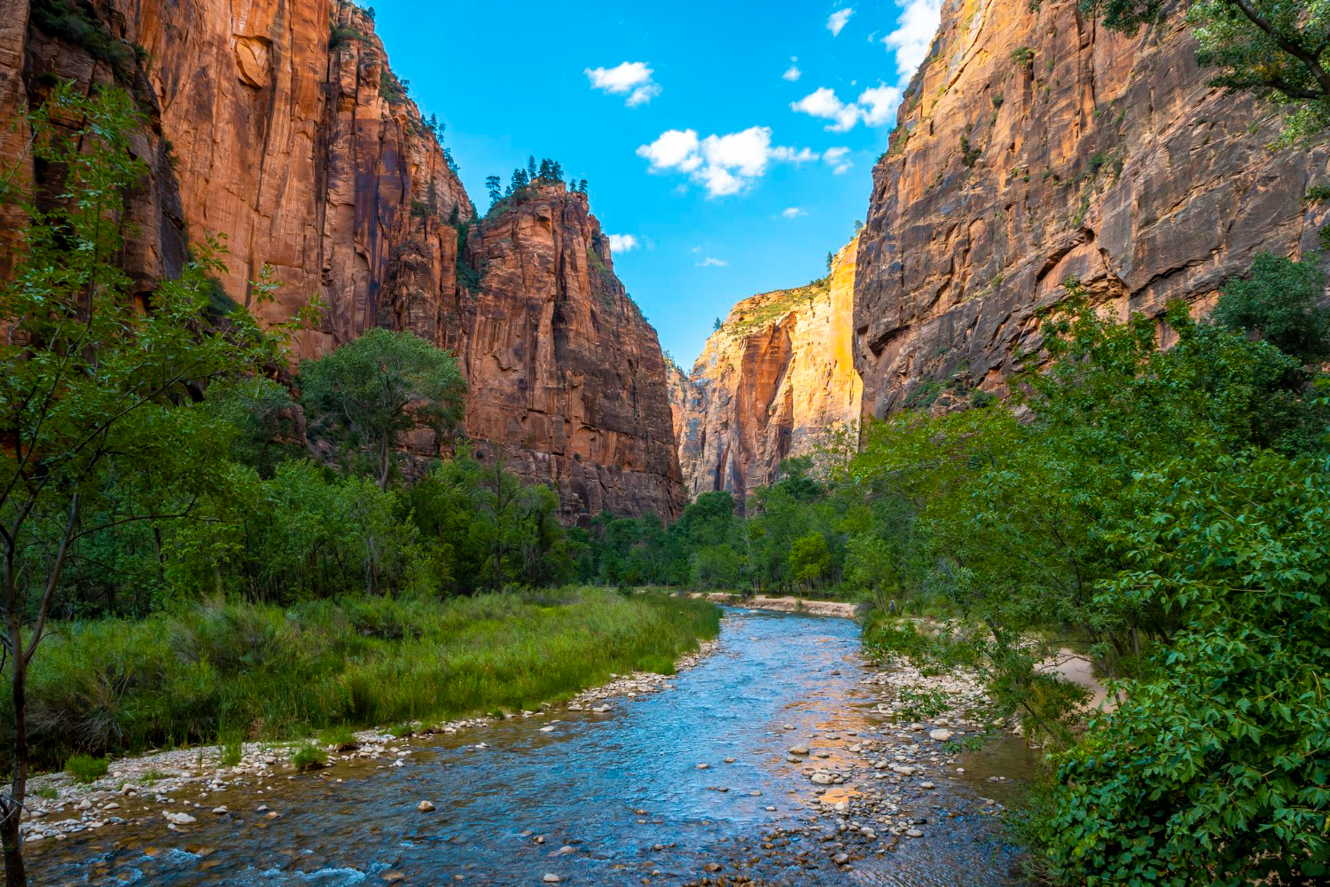 Zion National Park