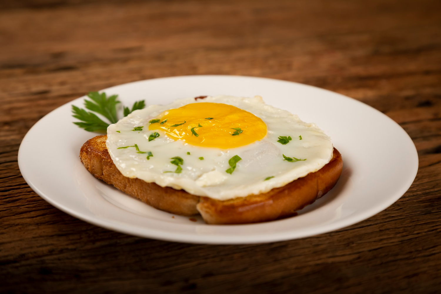 Egg