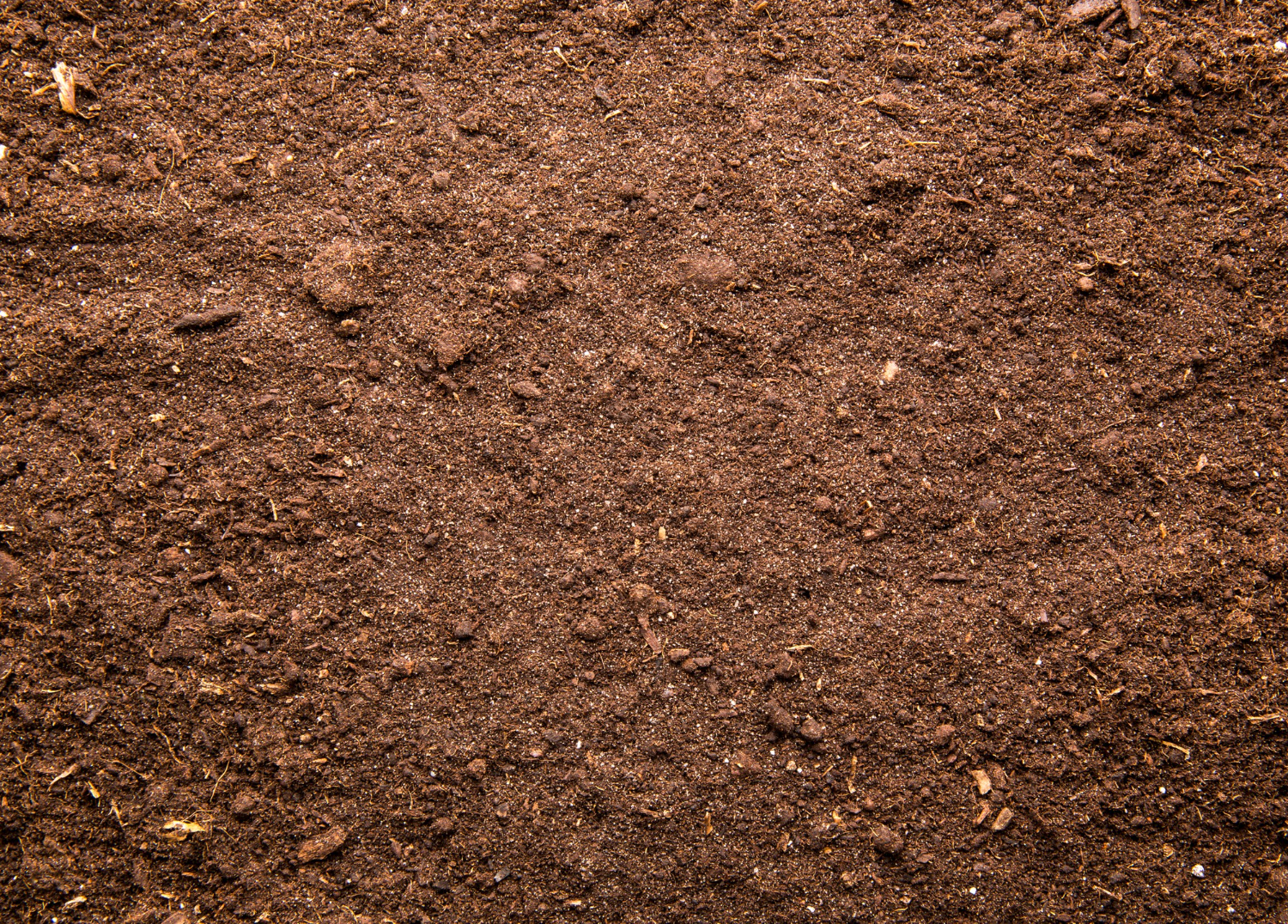 Soil