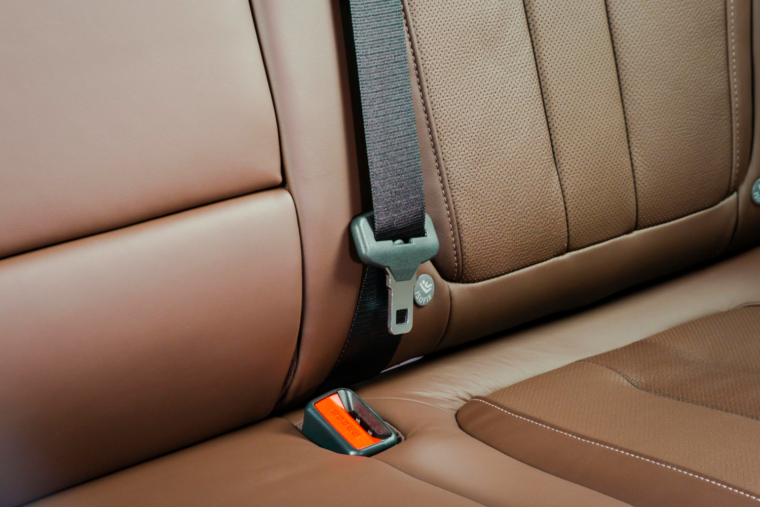 Rear Seatbelts