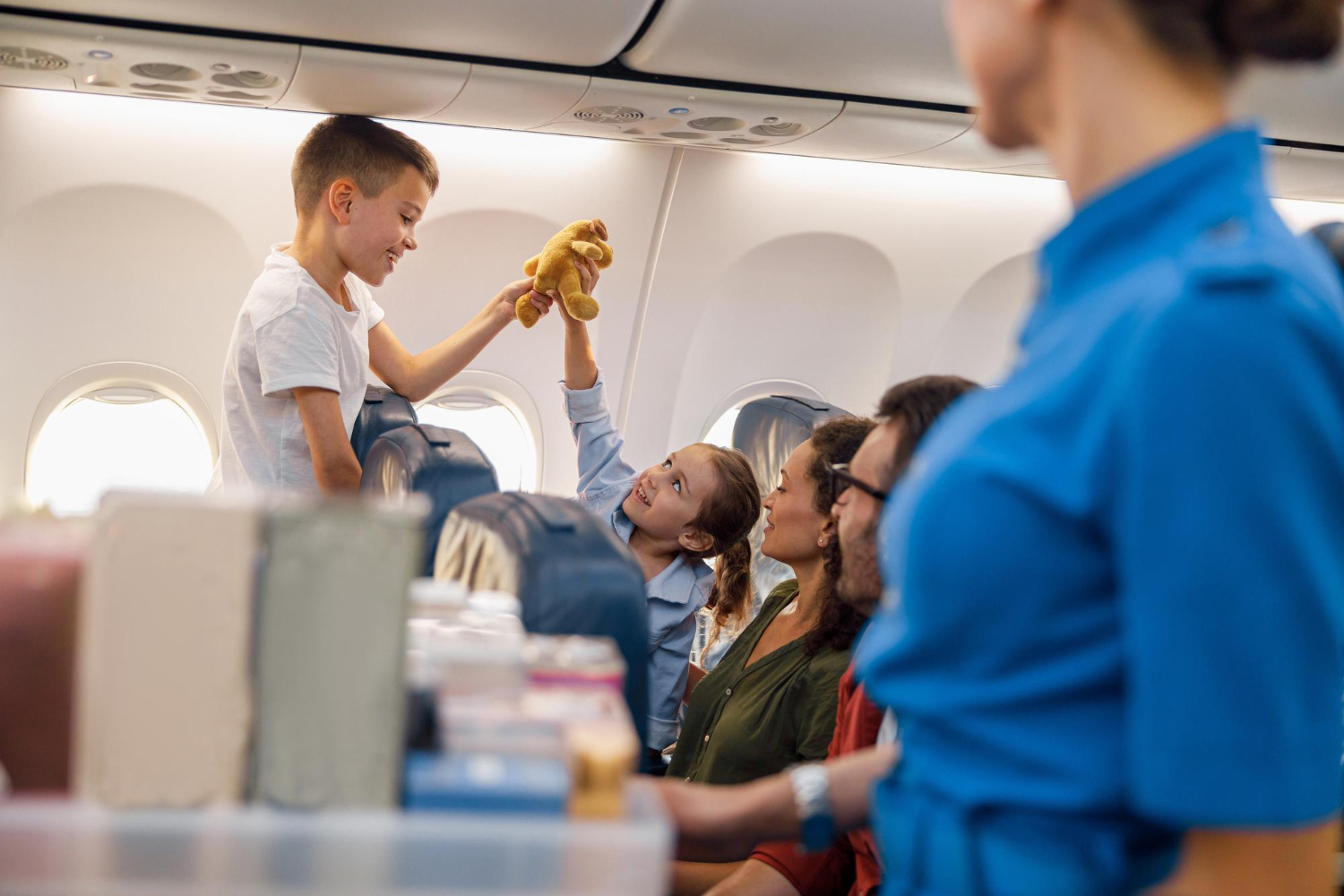 Plane seat