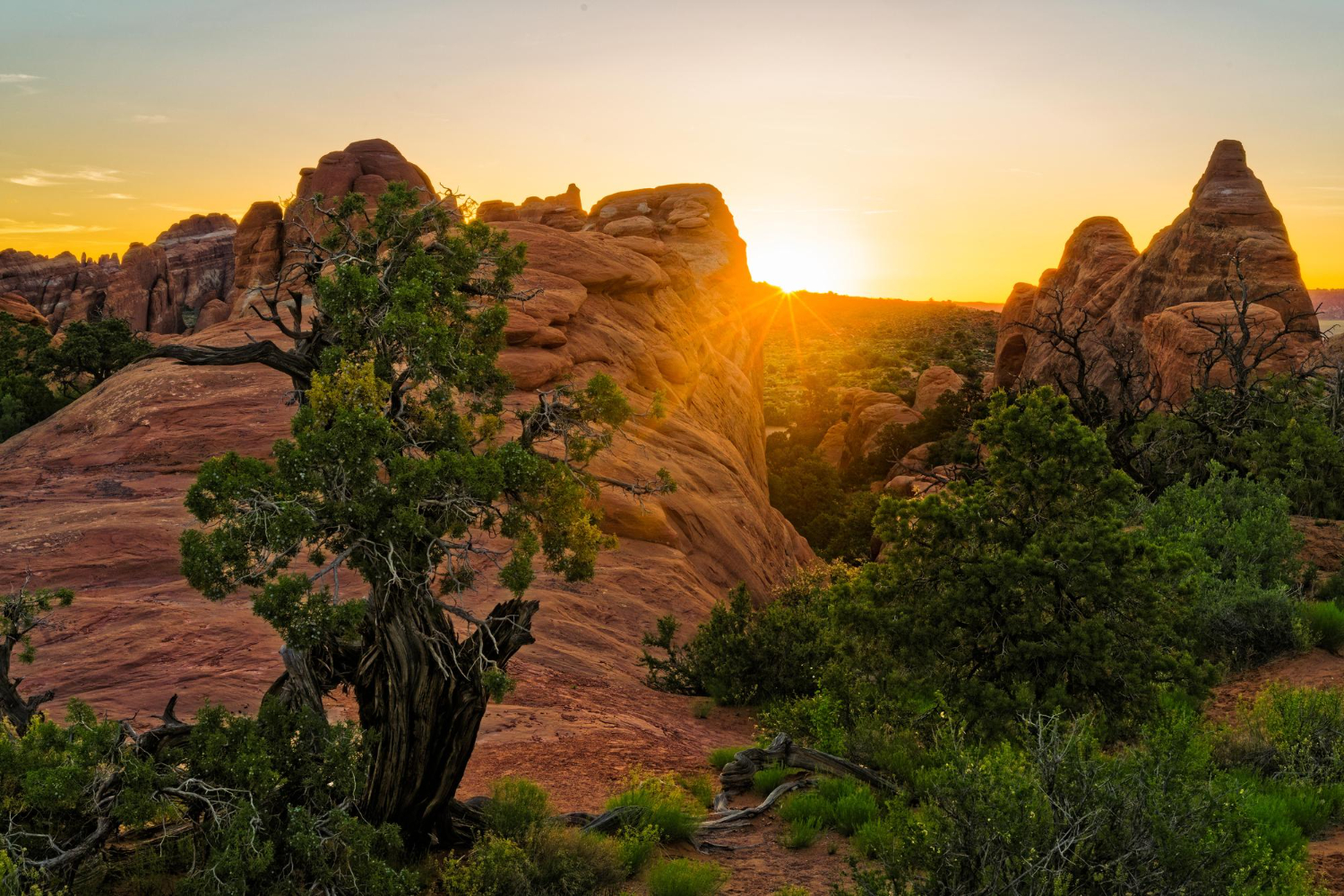 National Parks
