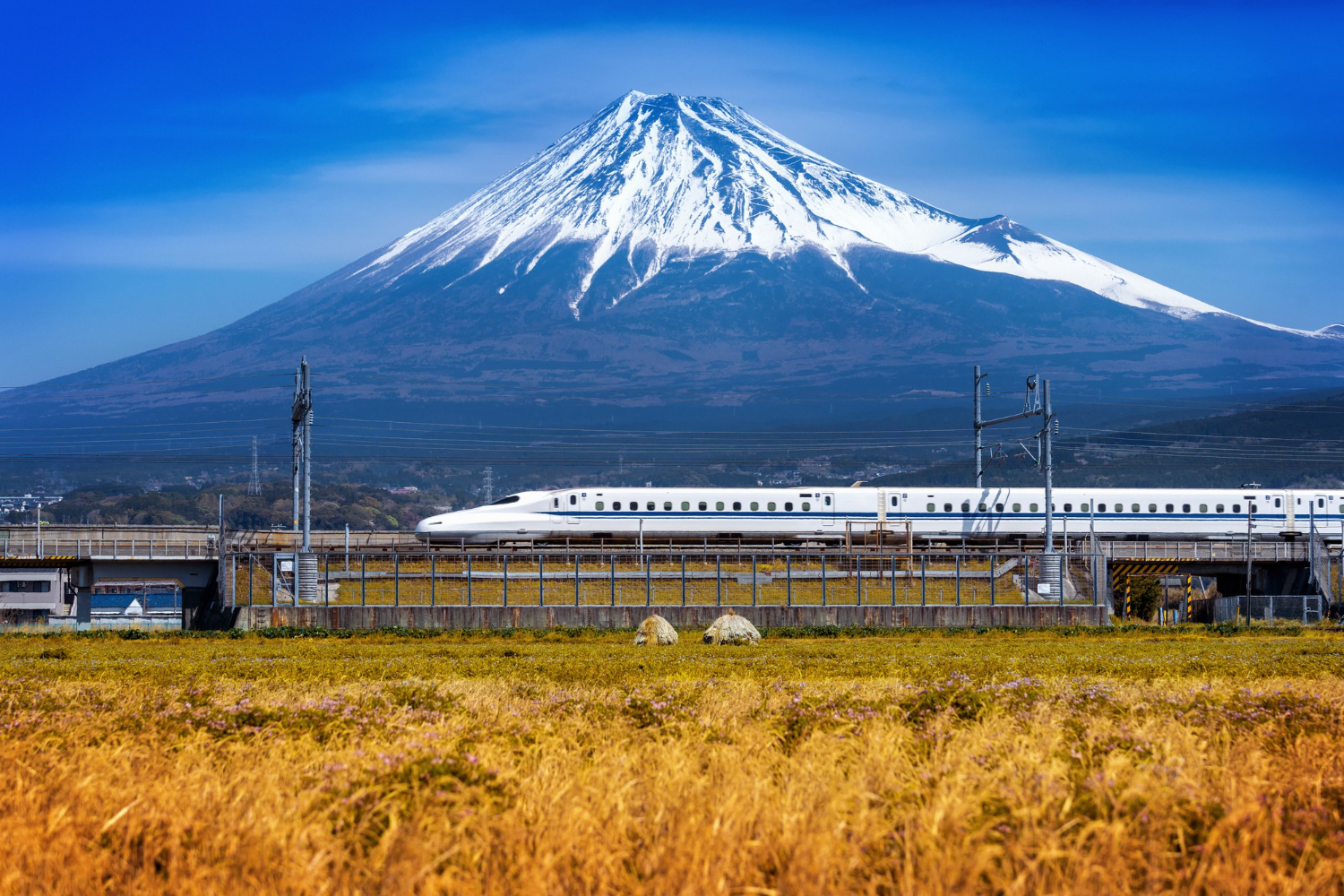 Japanese trains