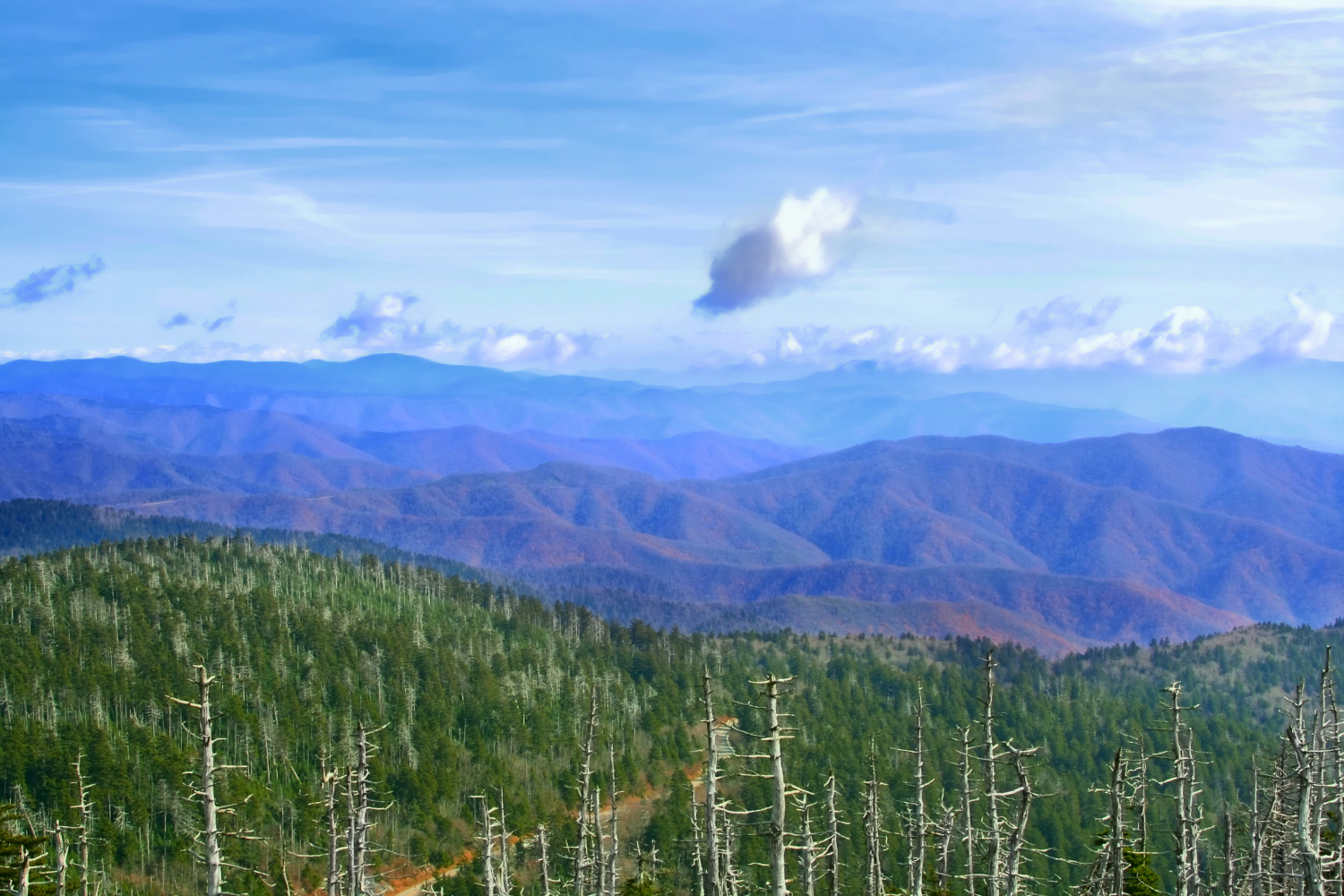 Great Smoky Mountains National Park