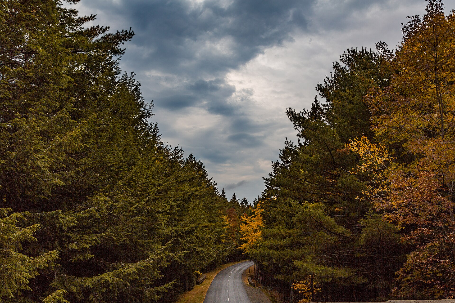 Acadia National Park