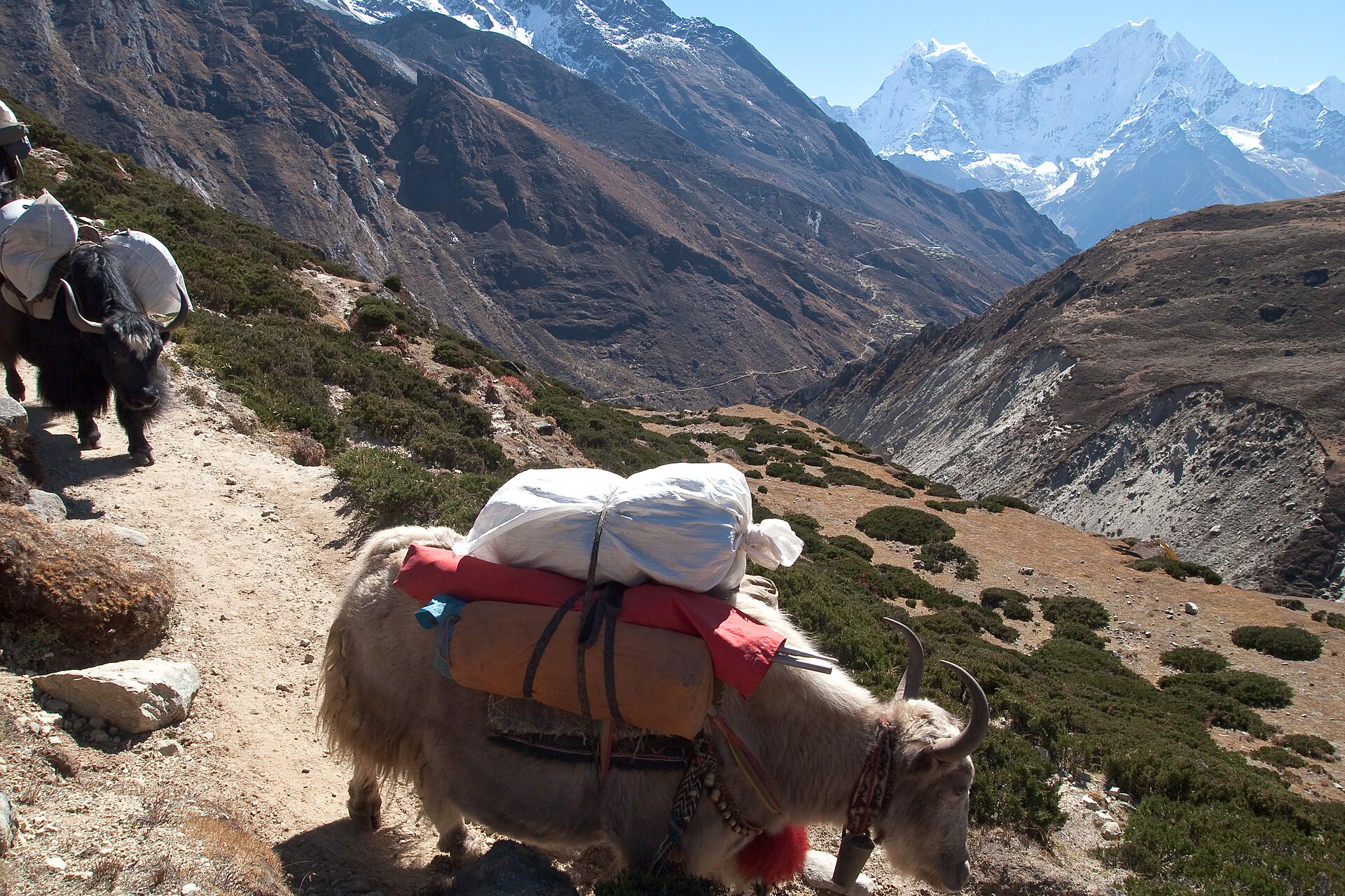Himalayan kingdom