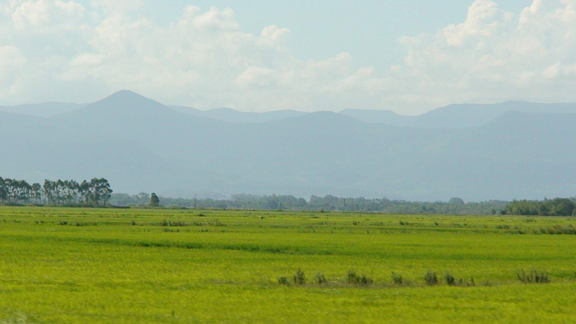 gaucho ranches