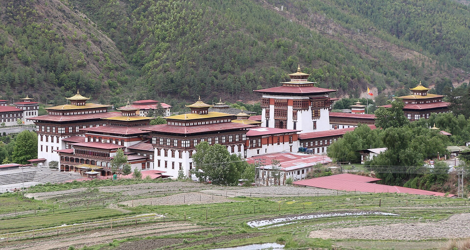 The Dzongs