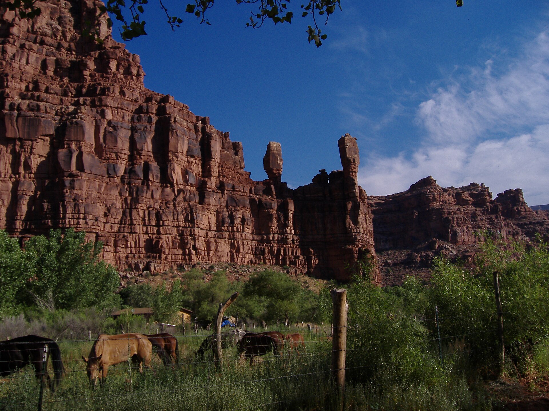 Supai, Arizona