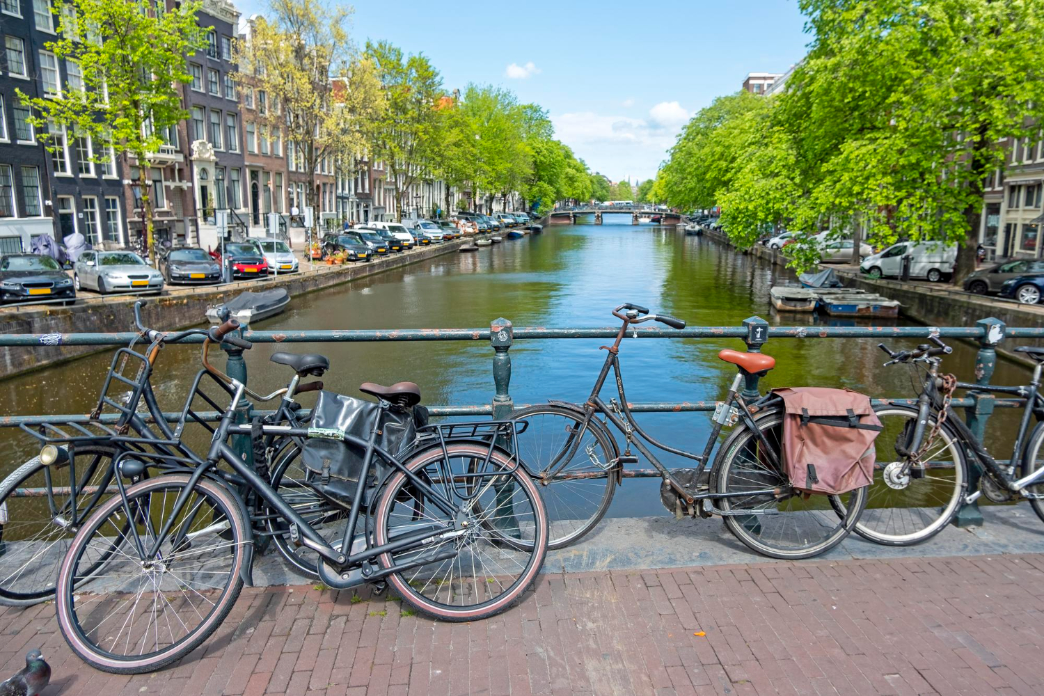 Dutch cycling