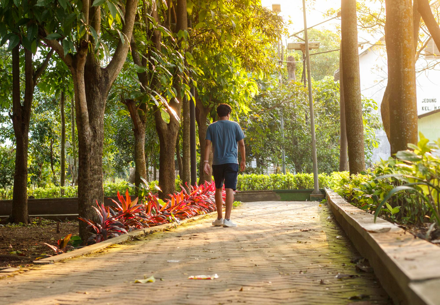 Walking