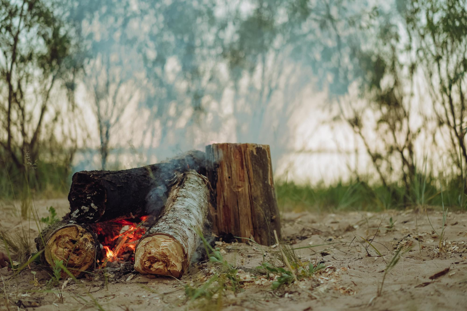 Firewood
