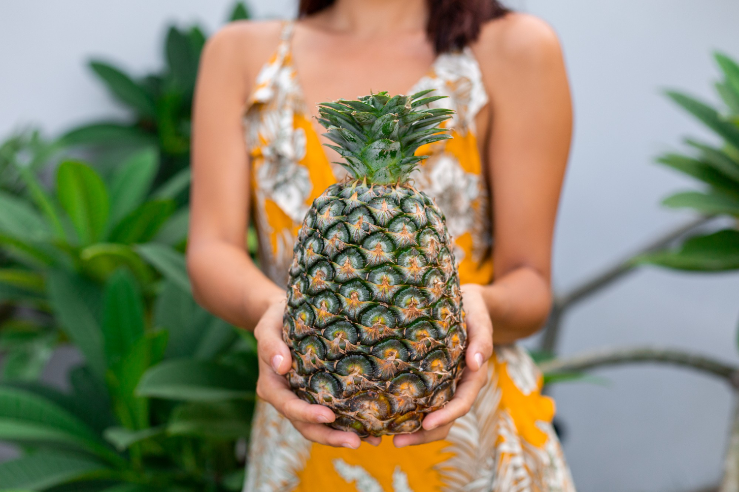  pineapple