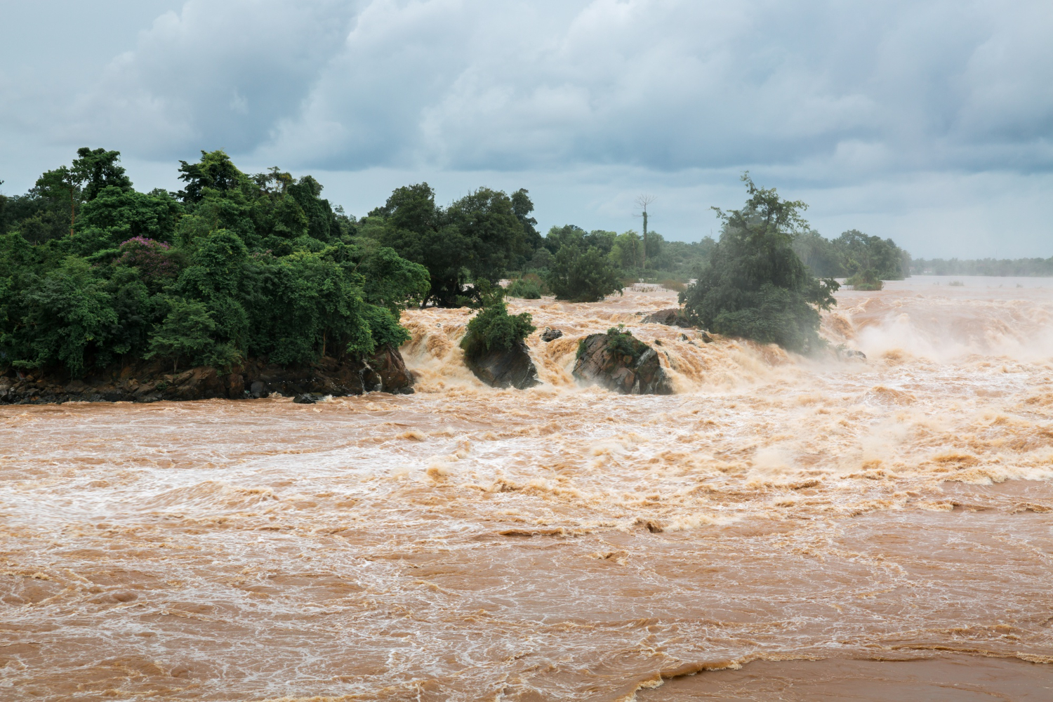Flood