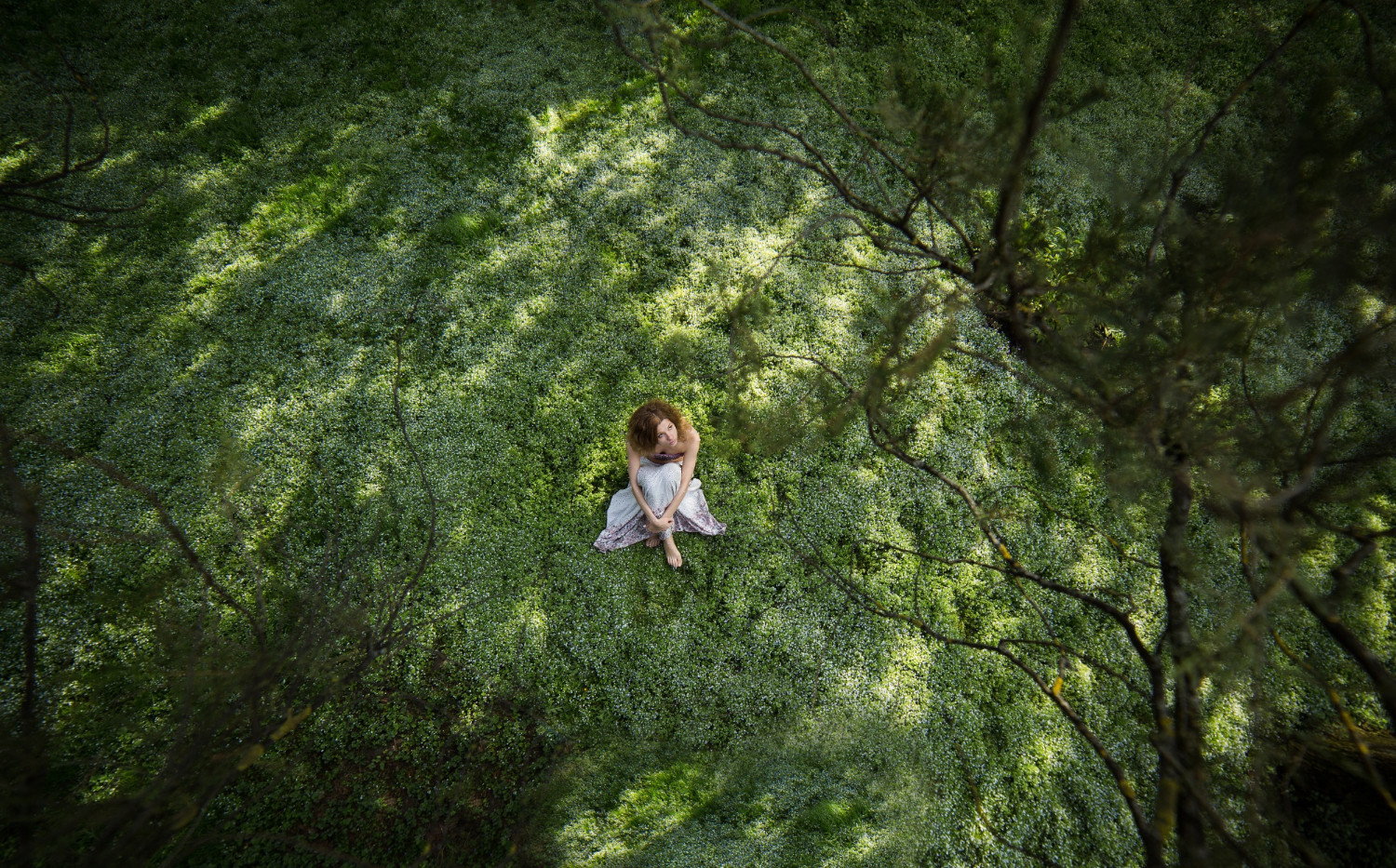 Shinrin-yoku