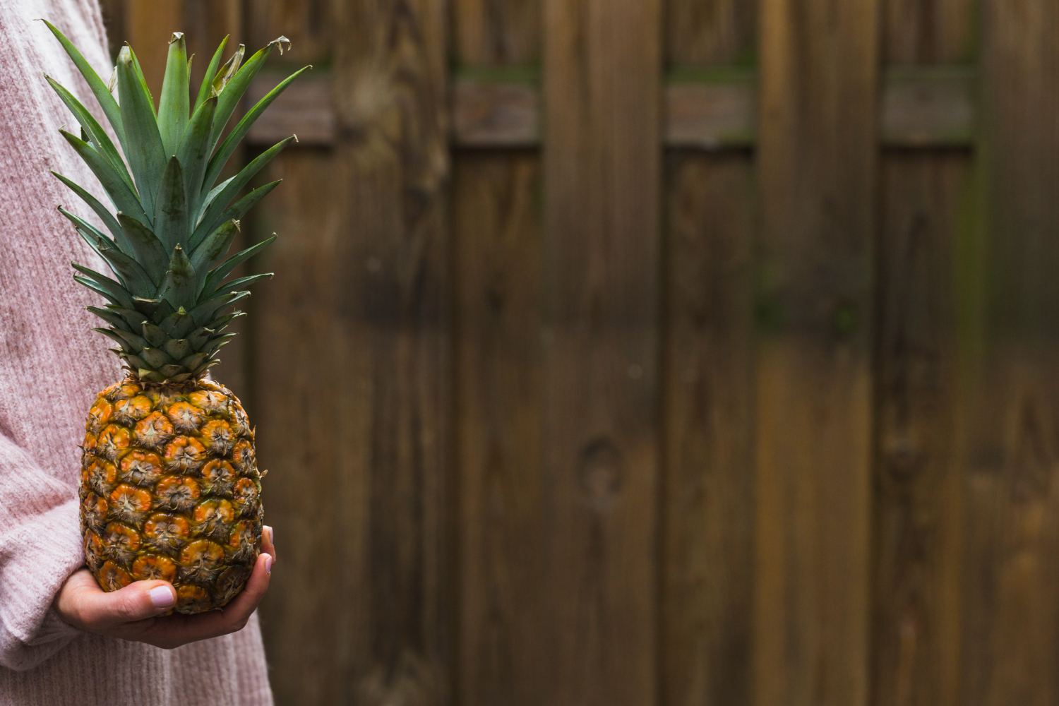  pineapple