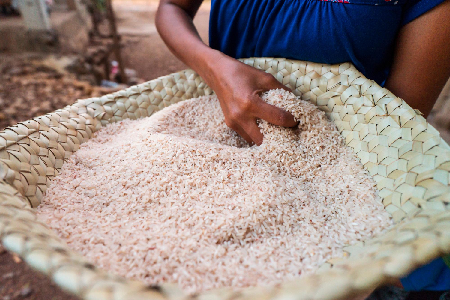 rice