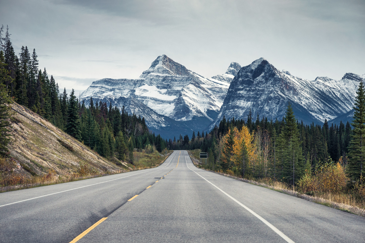 Mountain