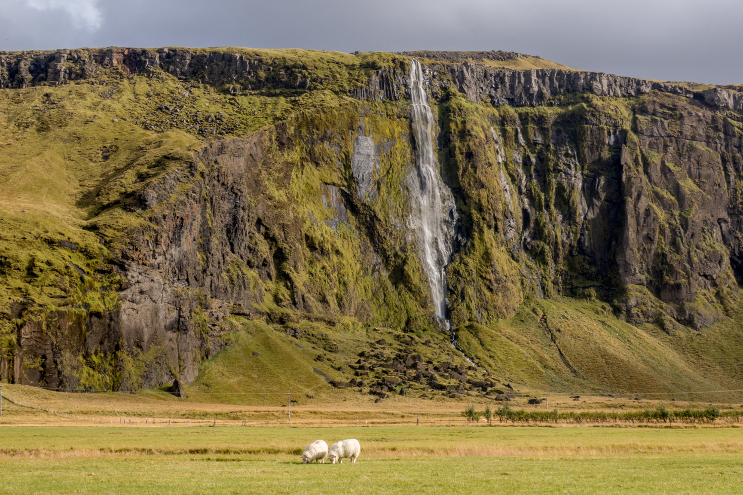 Tristan da Cunha