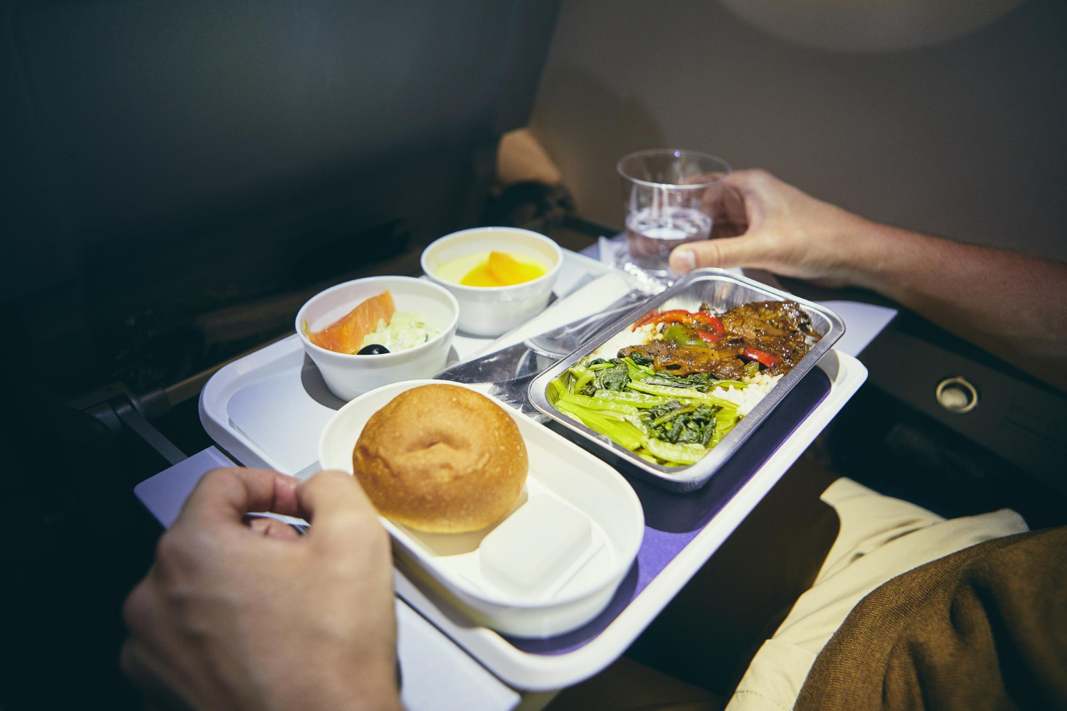 airline meals