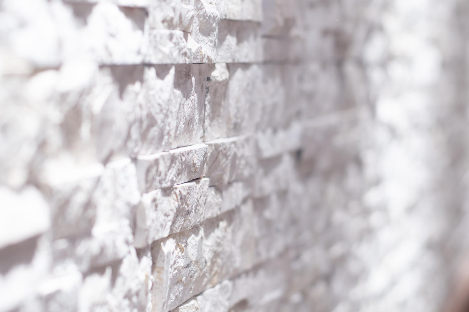 salt wall