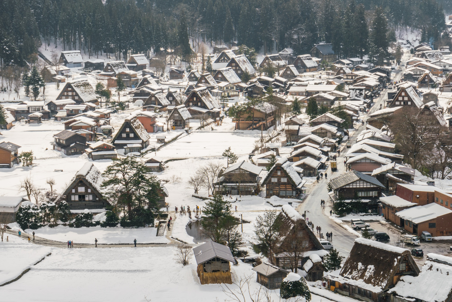 Snow town