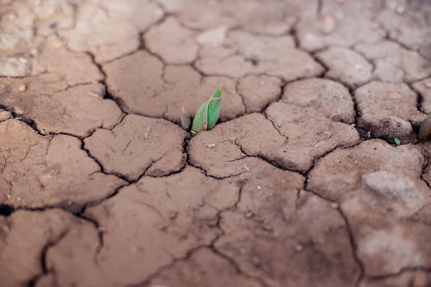 Climate