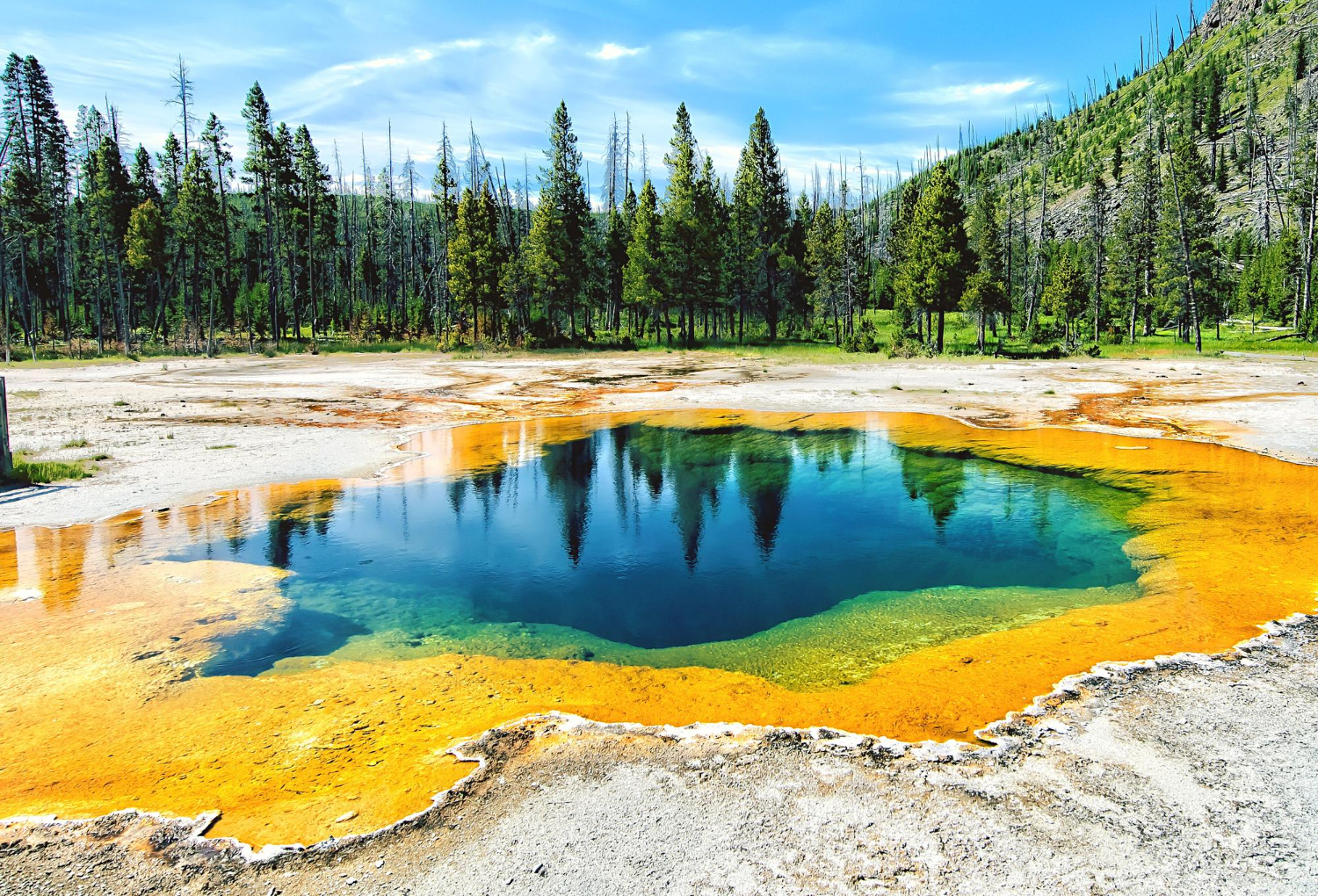 Yellowstone National Park