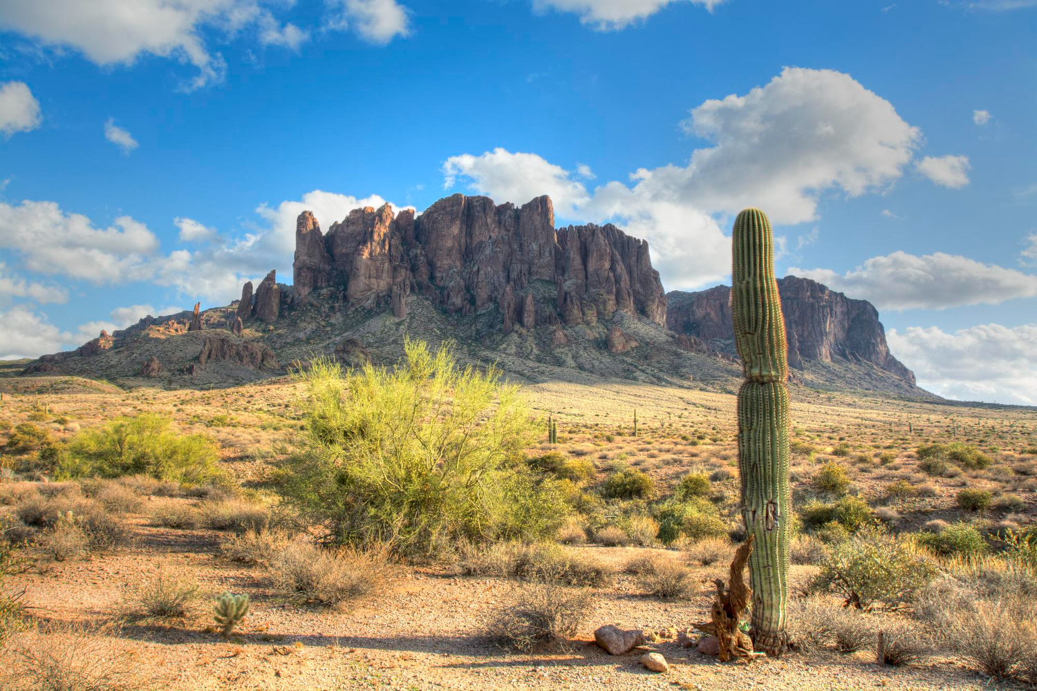 Arizona