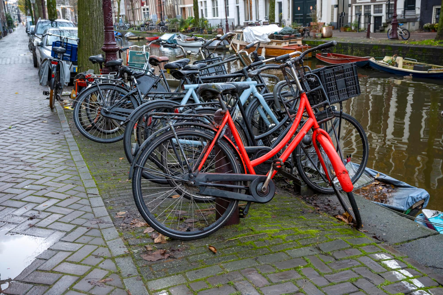 Dutch cycling