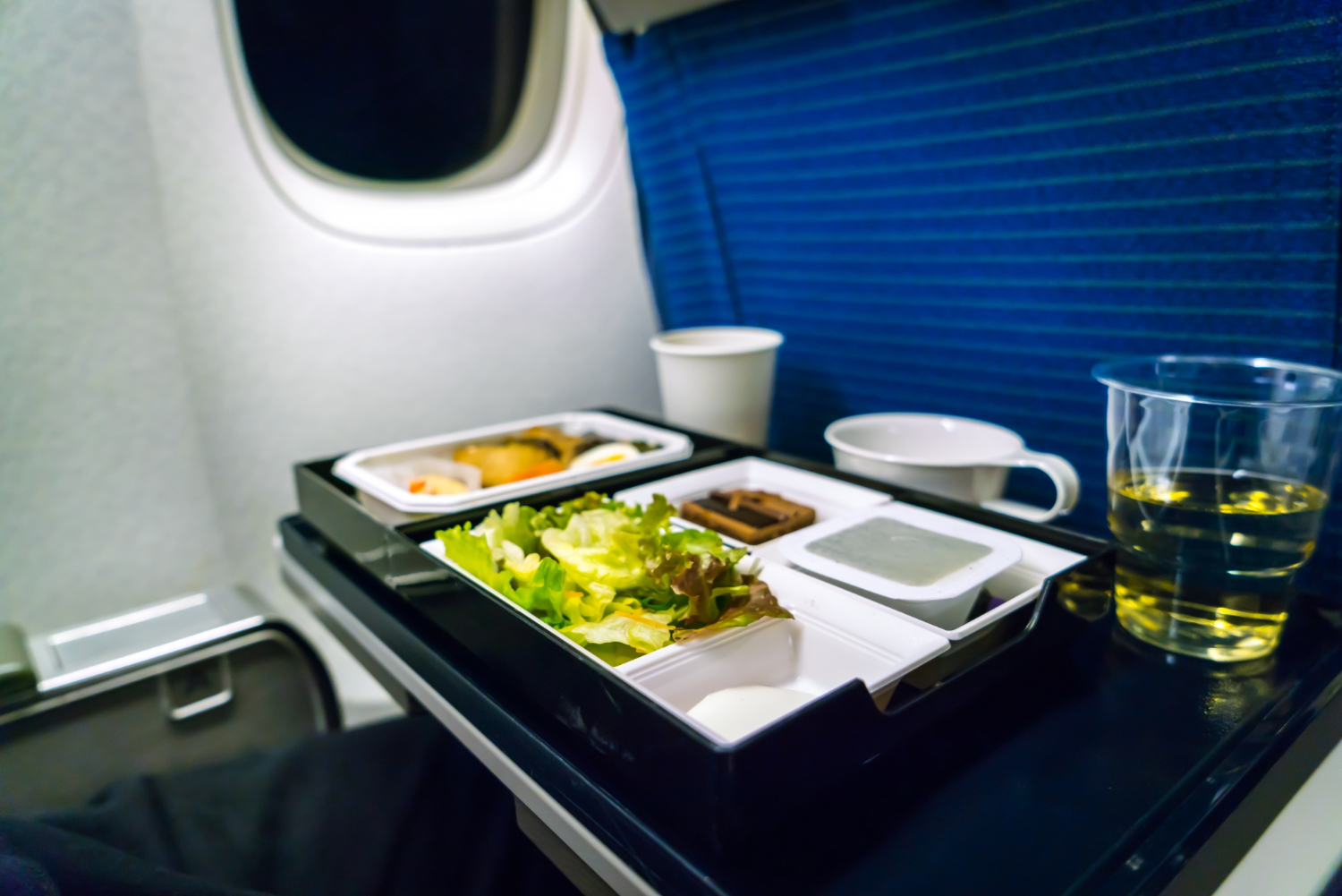 Hot Meal on Domestic Flights