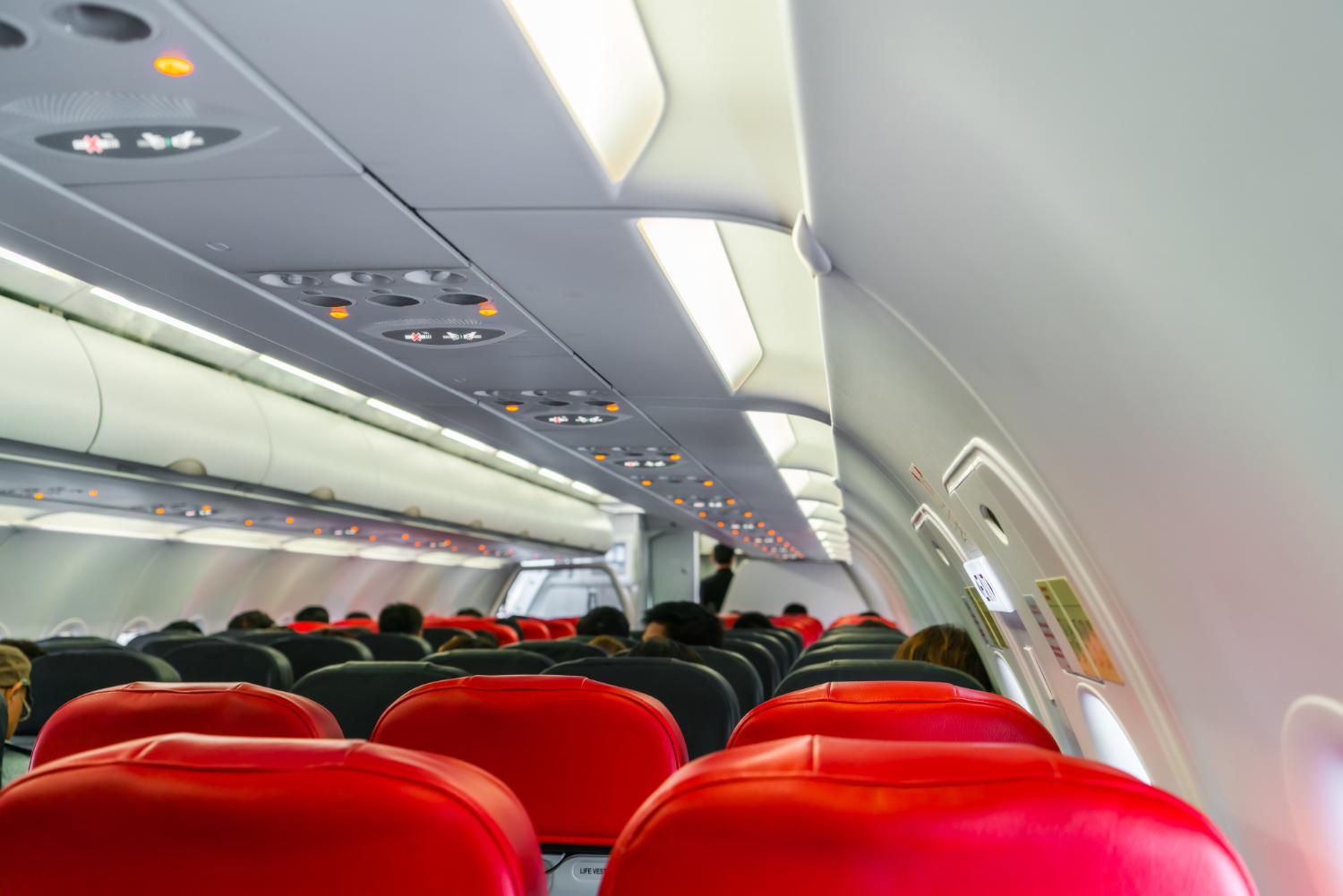 Plane Inside