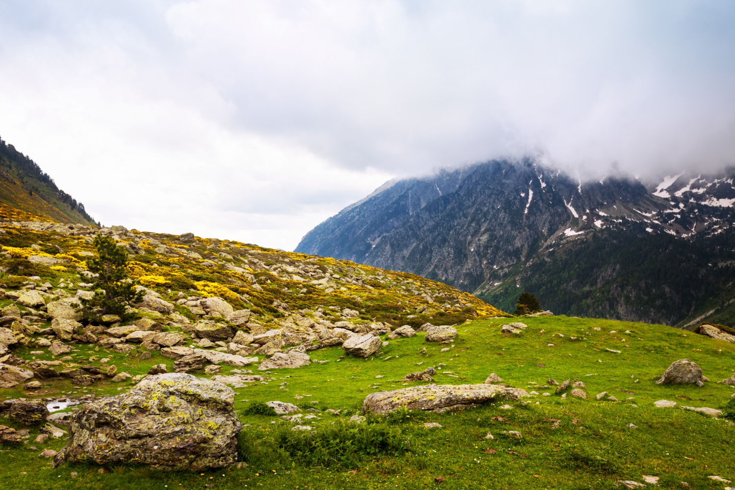 National Park