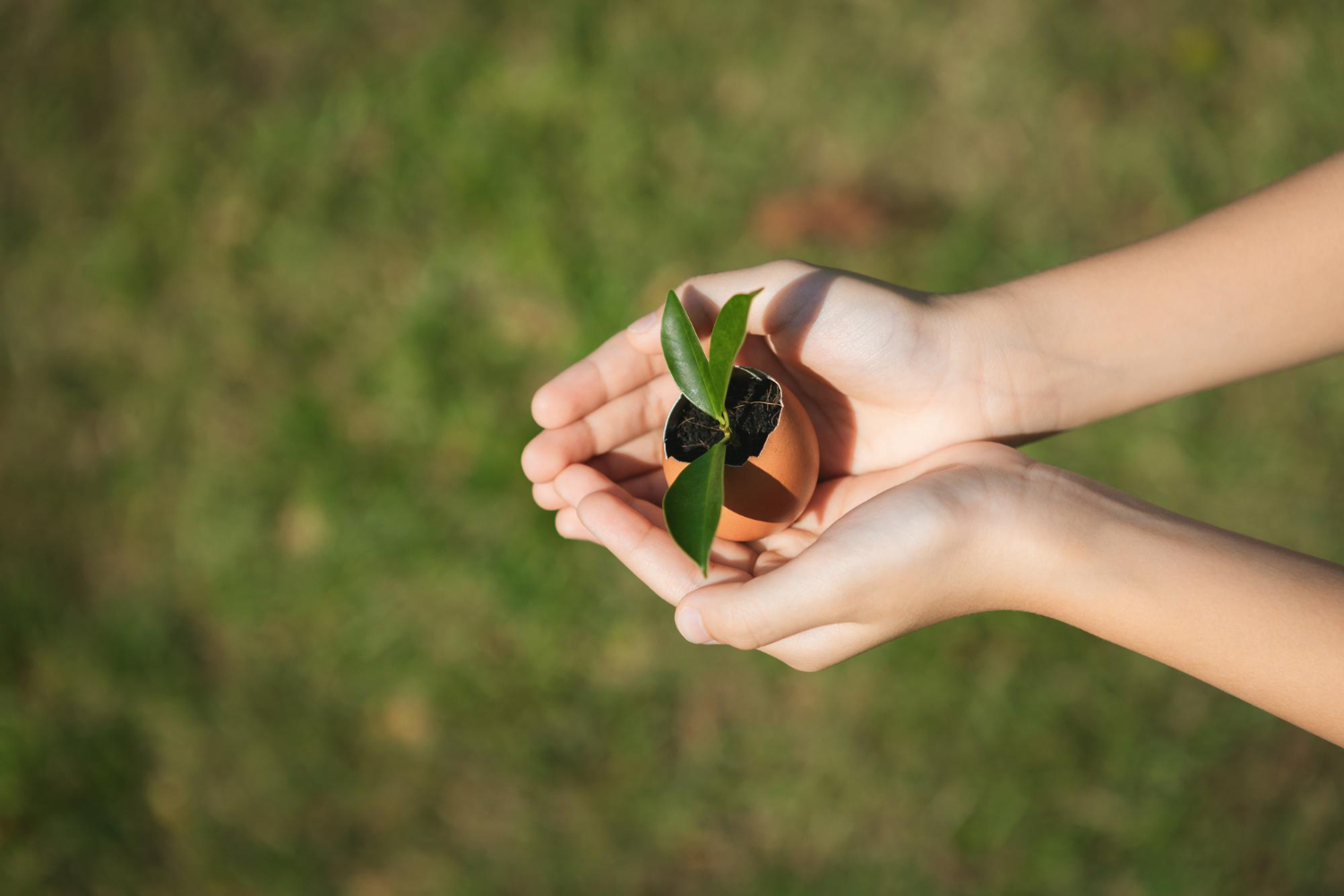 Environmental Protection