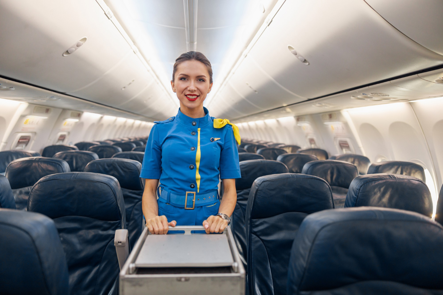 Flight Attendant