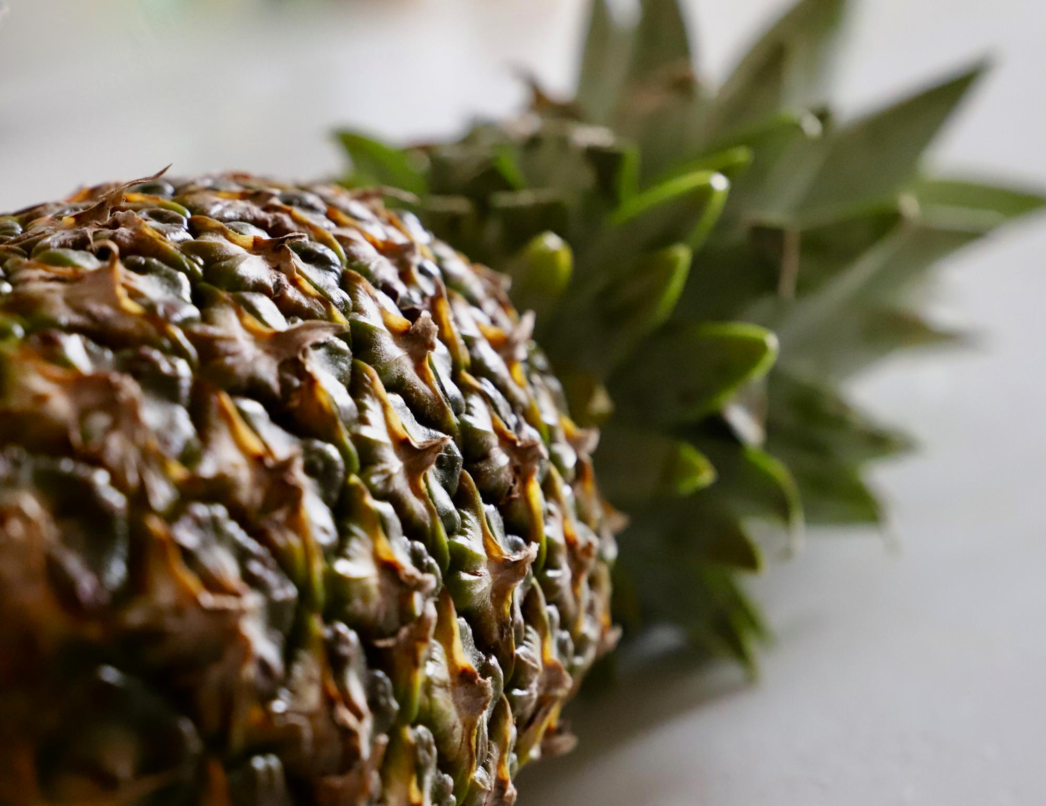  pineapple