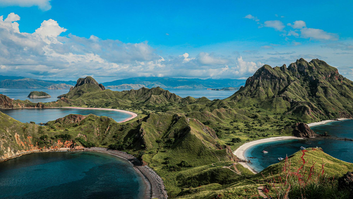 Komodo Island 