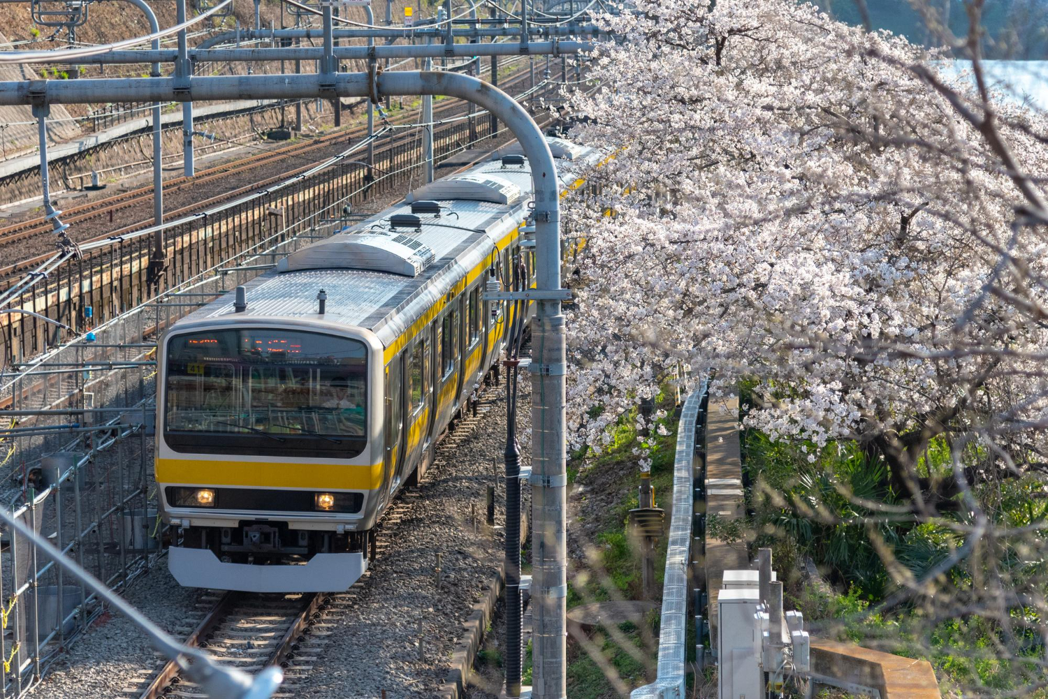 Japanese trains